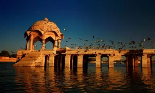 wild tour in India